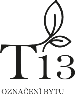 T13